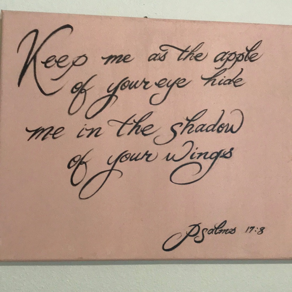 Calligraphy Pink/Black Scripture handmade Inspo Psalms 17:8 Painting Final Sale